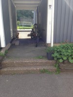 /album/bygga-in-asfalterad-entre-samt-trappor/img-0240-jpg/